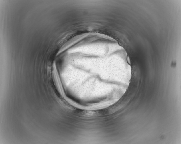 X0000090480527200708102200