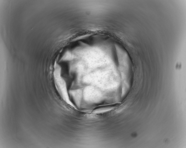 X0000090480528200708102200