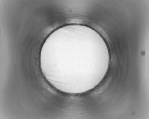 X0000090480529200708102159