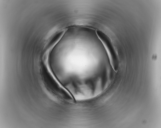 X0000090480530200708102159