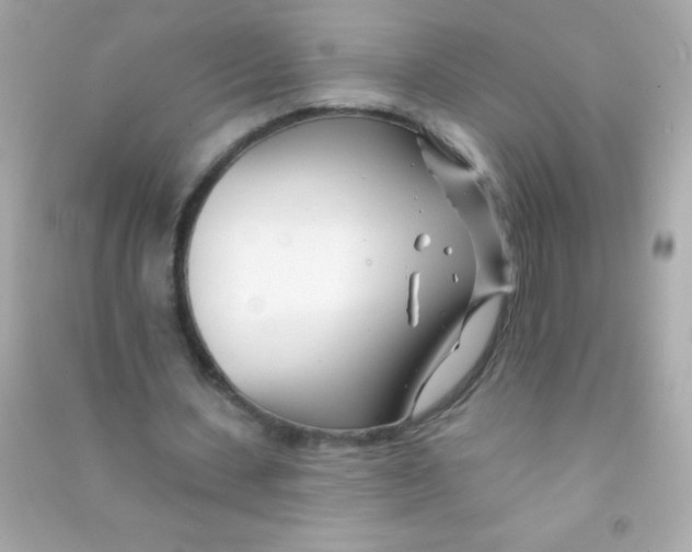 X0000090480531200708102159