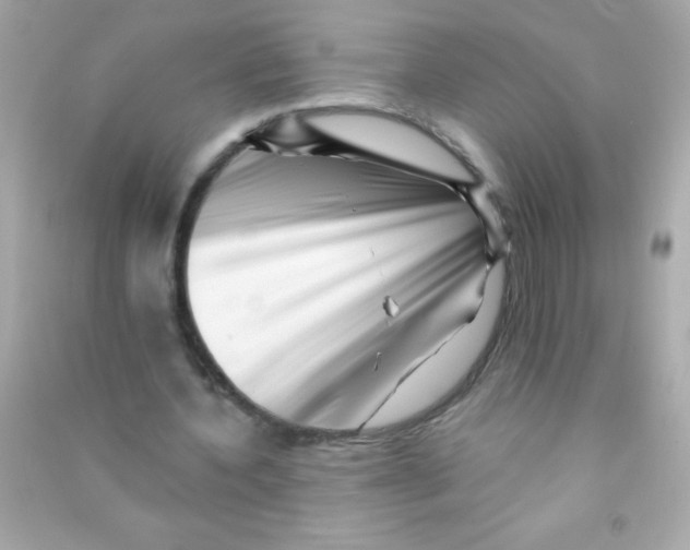 X0000090480532200708102159