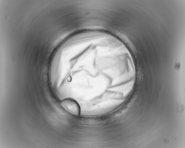 X0000090480533200708102159