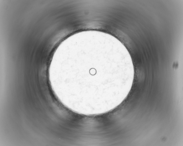X0000090480534200708102159