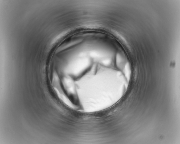X0000090480535200708102159