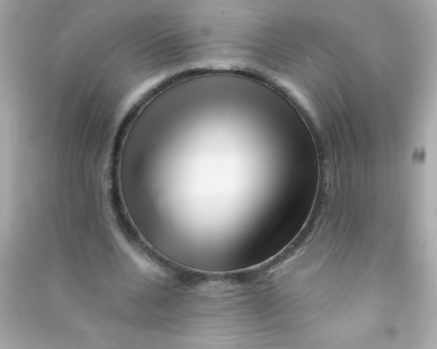 X0000090480536200708102159