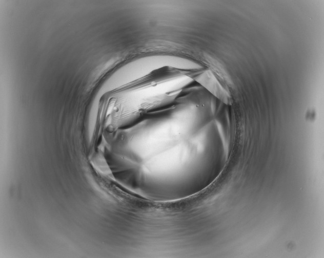 X0000090480538200708102159