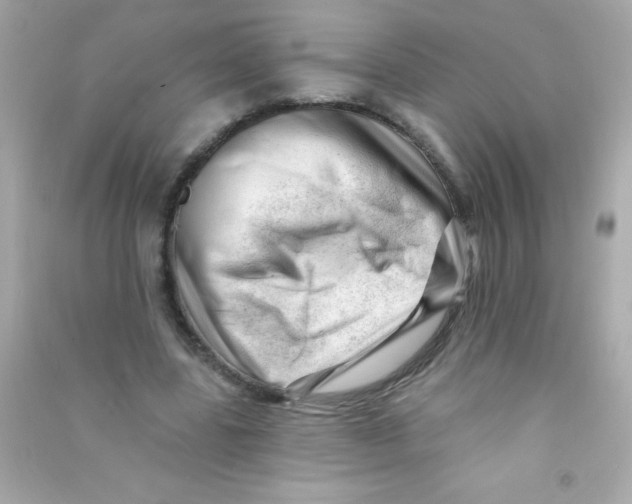 X0000090480539200708102159