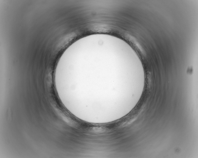 X0000090480541200708102159