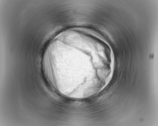 X0000090480542200708102159