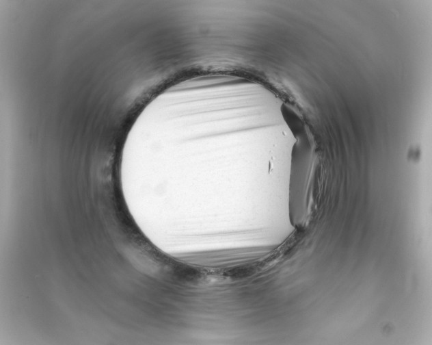 X0000090480543200708102159