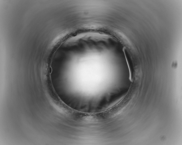 X0000090480544200708102159