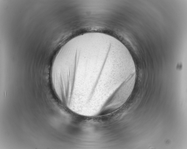 X0000090480545200708102159