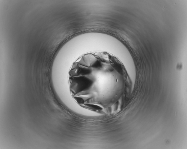 X0000090480546200708102159