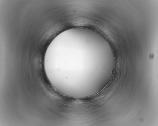 X0000090480547200708102159