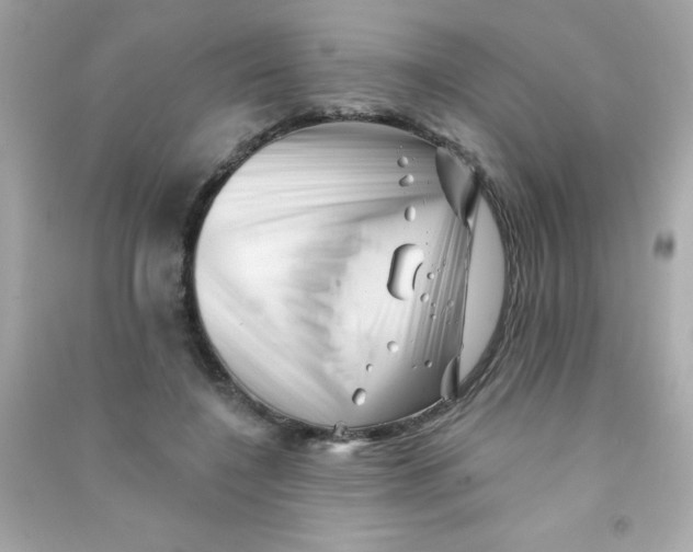 X0000090480548200708102159