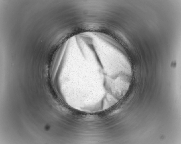 X0000090480549200708102159