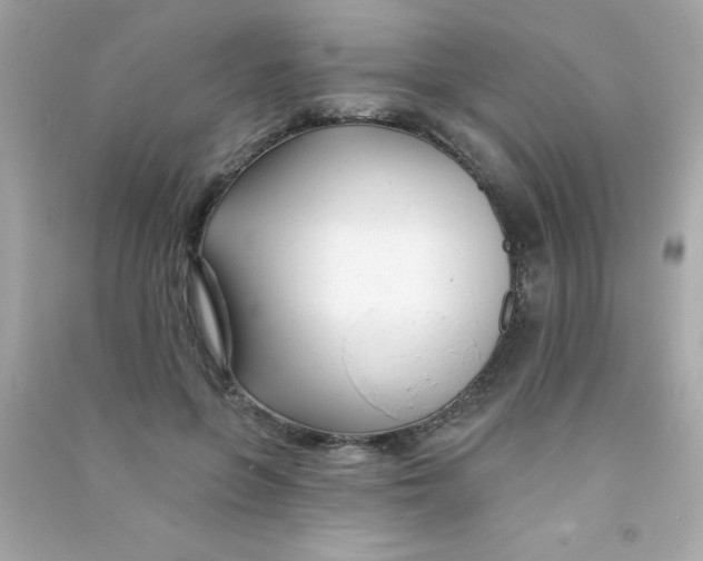 X0000090480551200708102159