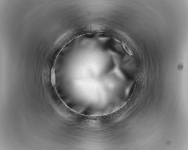 X0000090480552200708102159