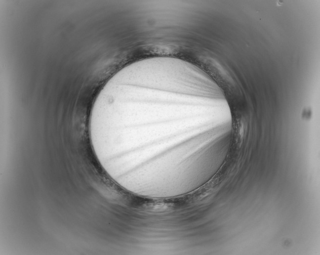 X0000090480553200708102159