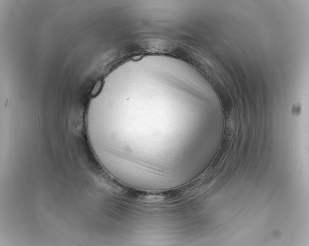 X0000090480554200708102159