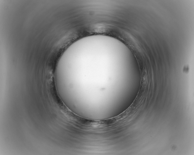X0000090480555200708102159