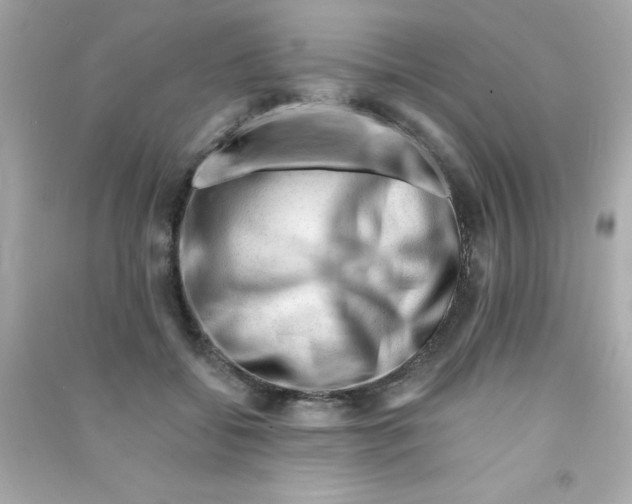 X0000090480556200708102159
