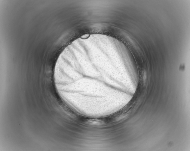 X0000090480557200708102159
