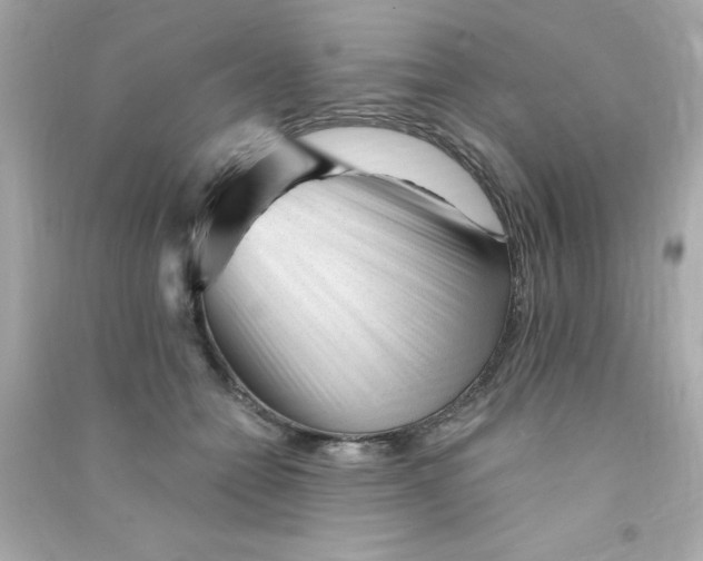 X0000090480558200708102159