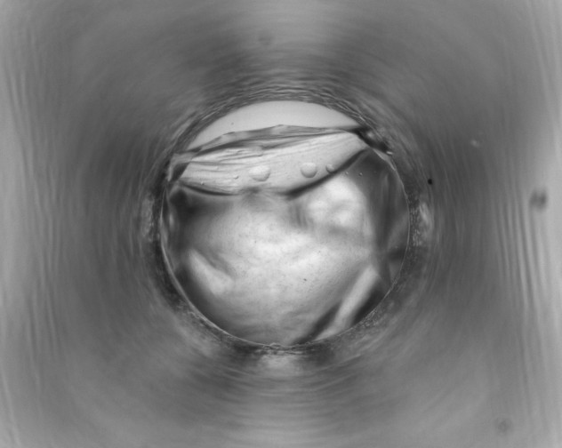 X0000090480560200708102159