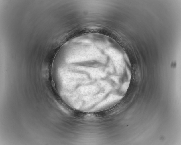 X0000090480562200708102159