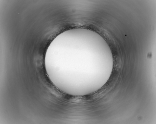 X0000090480563200708102159