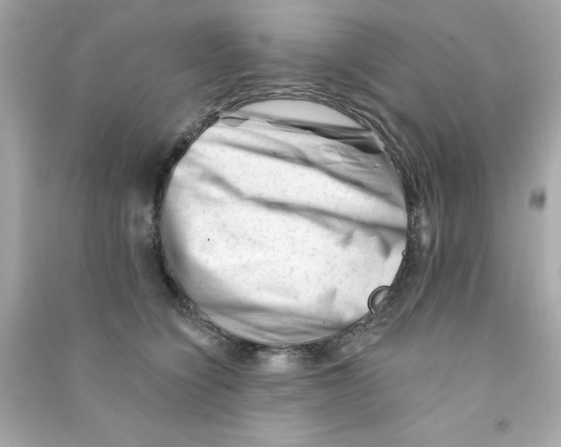 X0000090480564200708102159