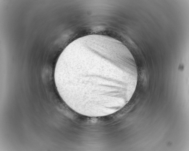 X0000090480565200708102159