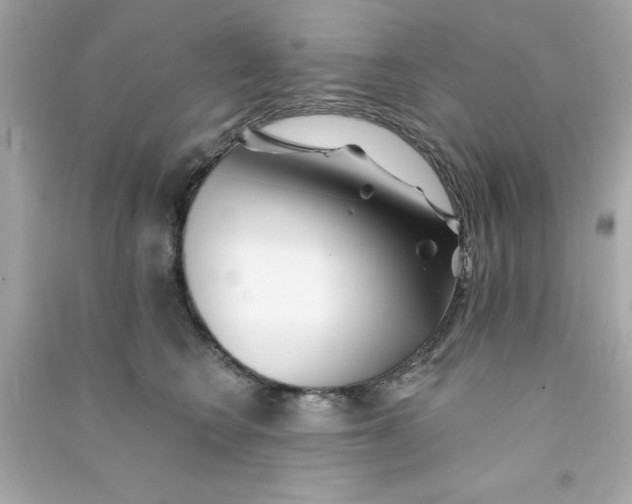 X0000090480566200708102159