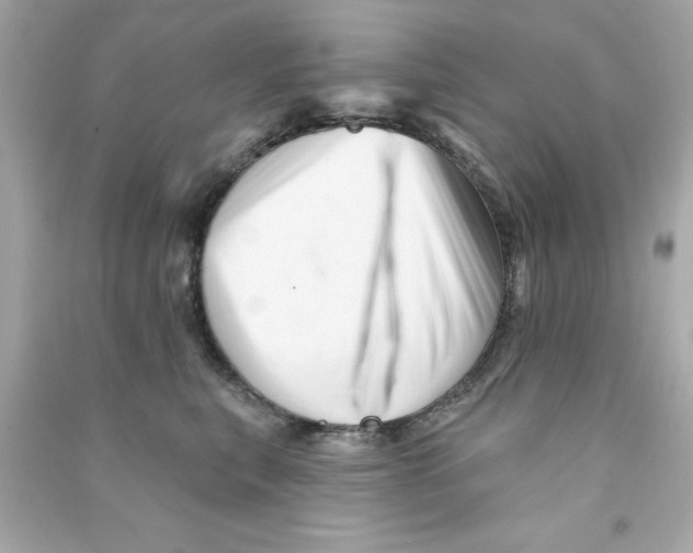 X0000090480567200708102159