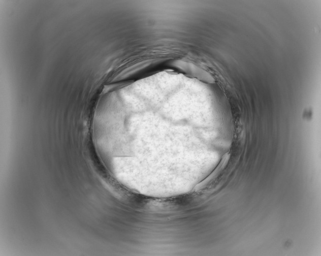 X0000090480568200708102159