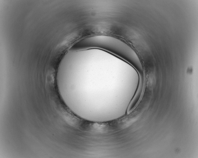 X0000090480570200708102159