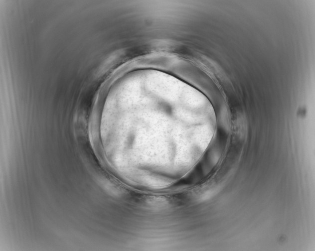 X0000090480572200708102159