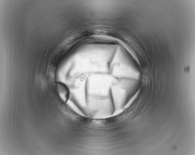 X0000090480573200708102159