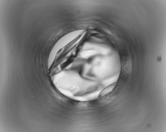 X0000090480574200708102159