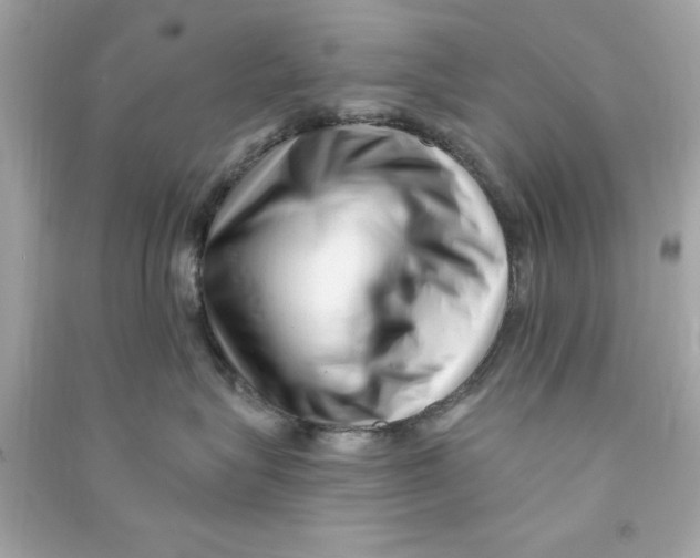 X0000090480575200708102200