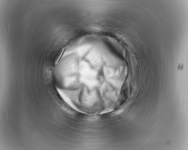 X0000090480576200708102200
