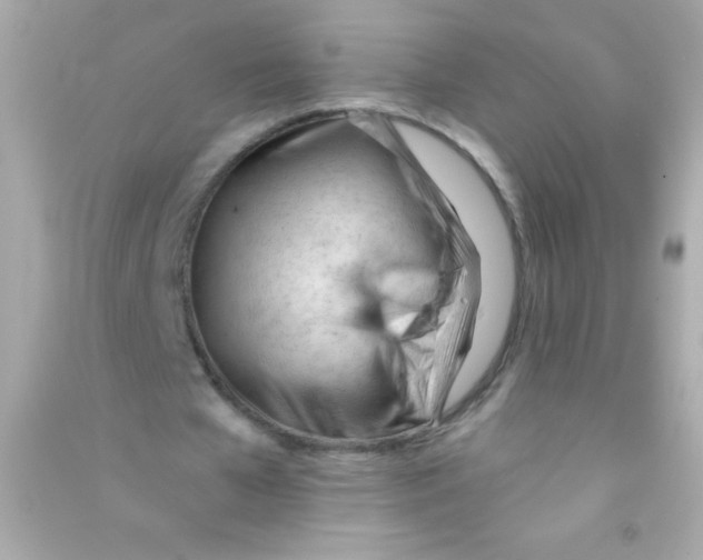 X0000090480577200708102159
