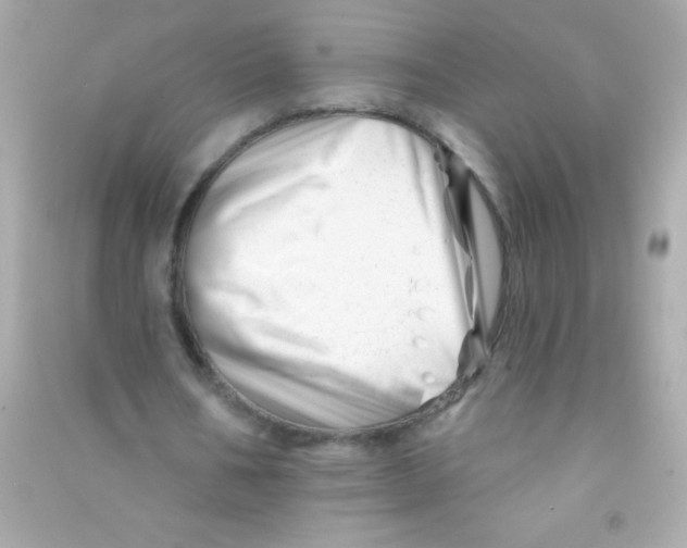 X0000090480578200708102159