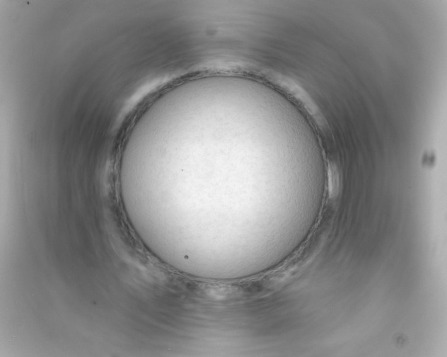 X0000090480579200708102159