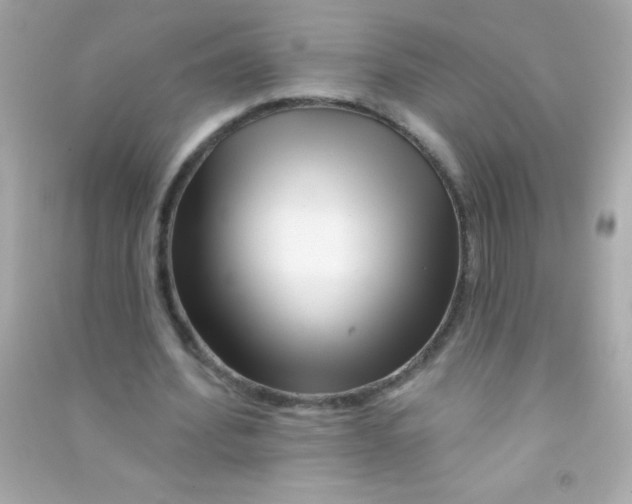 X0000090480580200708102159