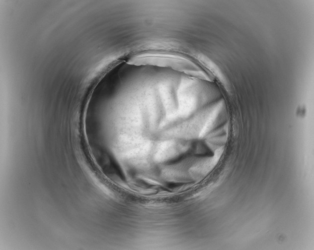 X0000090480581200708102159