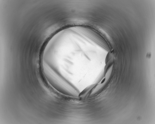 X0000090480582200708102159