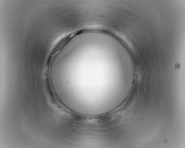X0000090480583200708102159